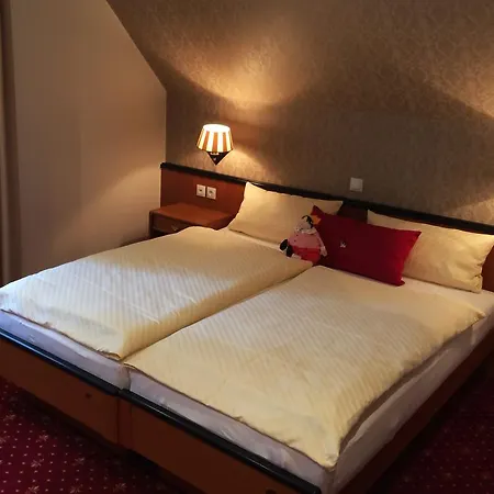 Ξενοδοχείο Witte-konig